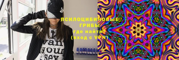 не бодяженный Белокуриха